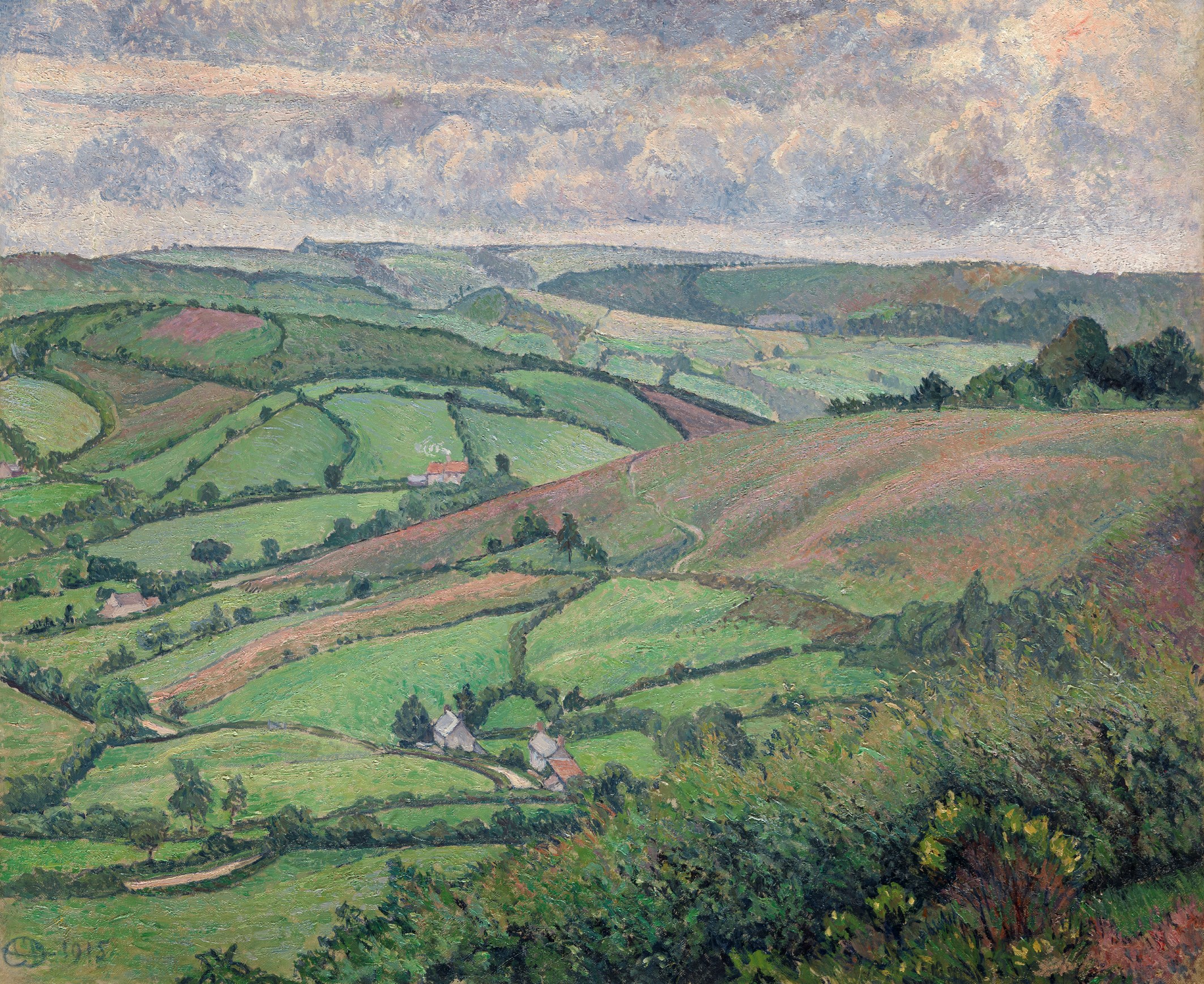 The Heather Patch, Fishpond, Dorset